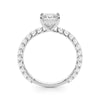 Princess Cut and Twenty-Two Round Diamond Row Mounting